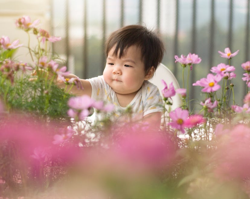 a baby surrounded by flowers, but can babies have seasonal allergies?