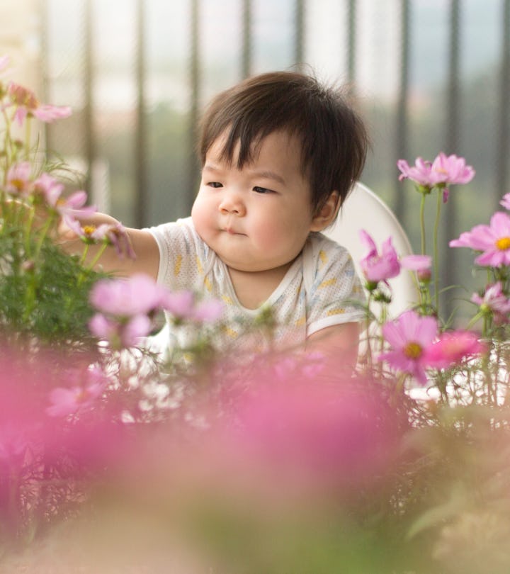 a baby surrounded by flowers, but can babies have seasonal allergies?