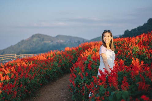 Asian travel walking adventure in flower garden happiness moment Sunrise scenics Doi mon jam chiang...