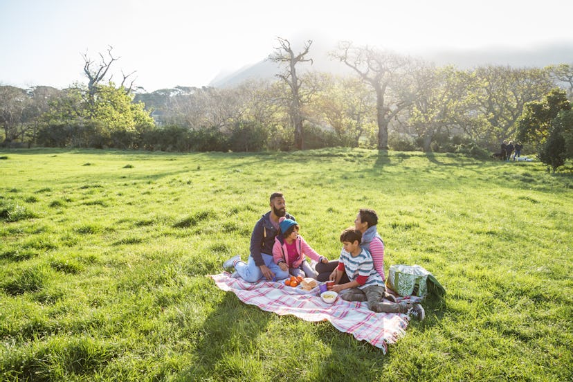 What to do on Mother's Day: set up a family picnic