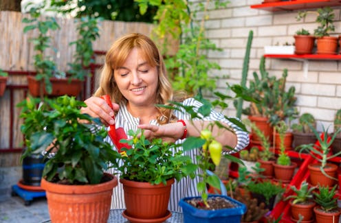 These are the signs most likely to have a green thumb, according to an expert.