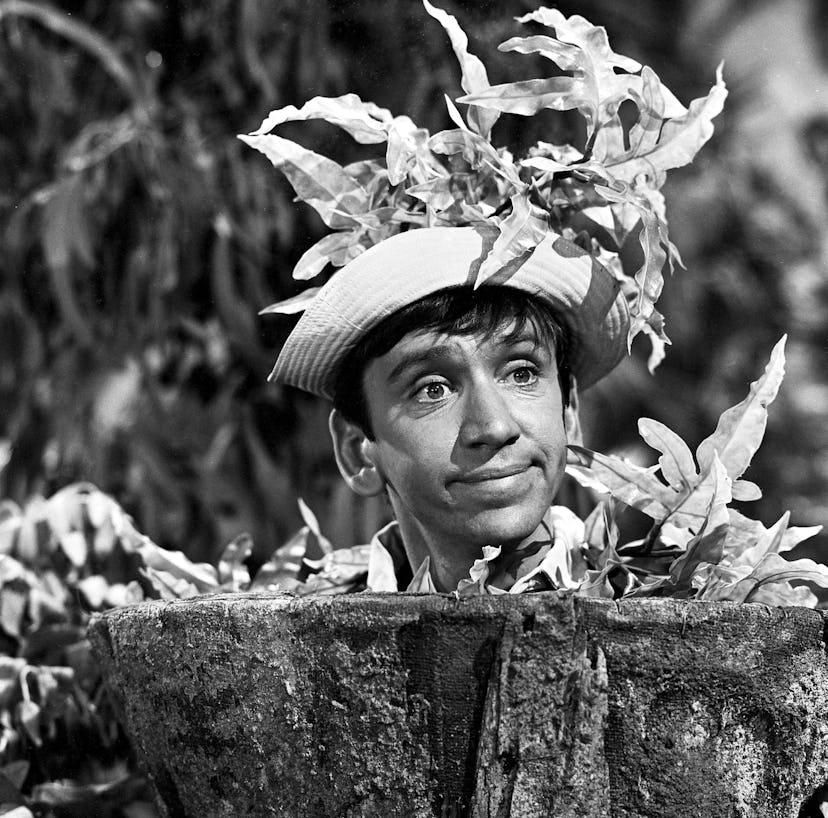 0dc5ad38 c249 4d10 a6d1 8d50be5aeca7 getty 1241442518 LOS ANGELES - JUNE 21: Gilligan, played by actor Bob Denver, wears tree camouflage in the 'Two On A ...