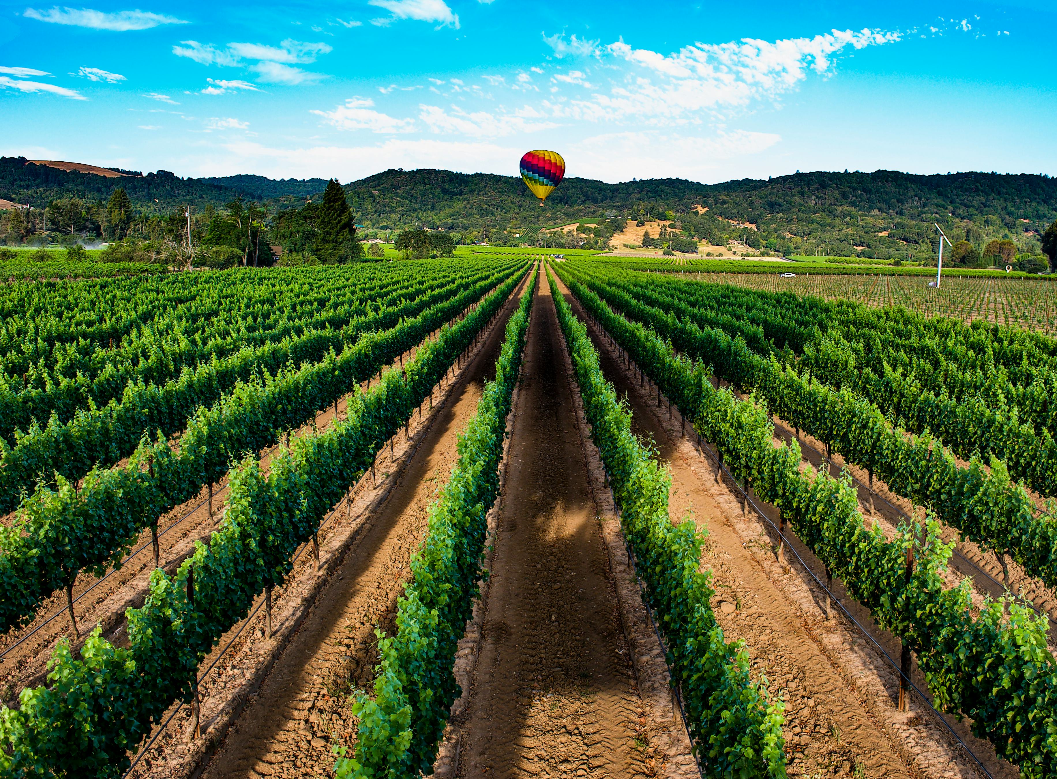 Napa Valley is Taurus' dream honeymoon location, according to an astrologer.