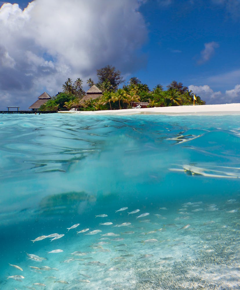 The Maldives is Pisces' dream honeymoon location, according to an astrologer.