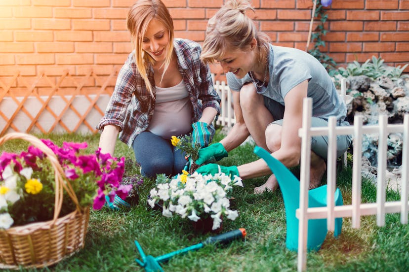 Is Zyrtec safe during pregnancy? A pregnant woman and her partner plant flowers outdoors during spri...