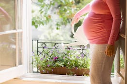 Is Zyrtec safe during pregnancy? An unidentifiable pregnant woman waters flowers in a window box.
