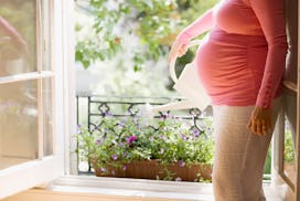 Is Zyrtec safe during pregnancy? An unidentifiable pregnant woman waters flowers in a window box.