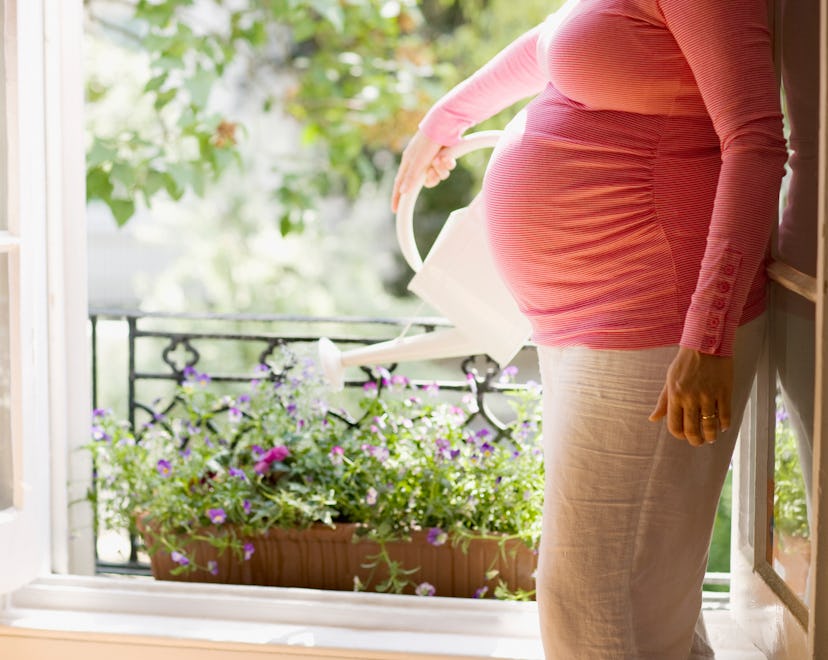Is Zyrtec safe during pregnancy? An unidentifiable pregnant woman waters flowers in a window box.