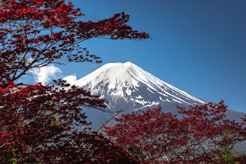 Japan is Virgo's dream honeymoon location, according to an astrologer.