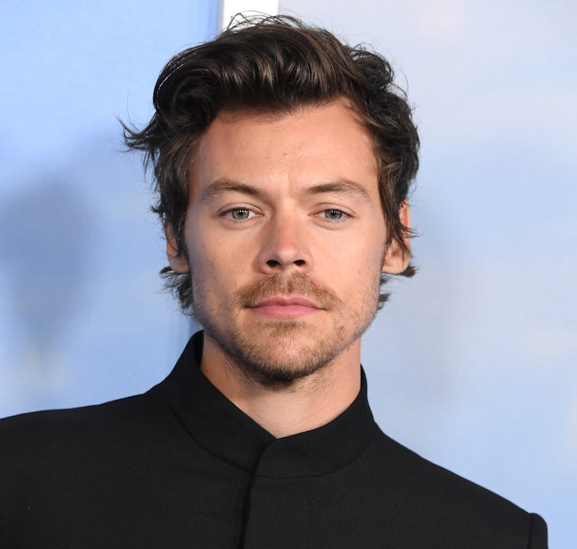 Harry Styles was rumored to be in the new live-action 'The Little Mermaid' film.