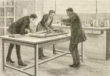 An archive image of researchers dissecting an animal.