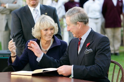 WASHINGTON - NOVEMBER 02:  TRH Prince Charles, Prince of Wales and Camilla, Duchess of Cornwall gigg...