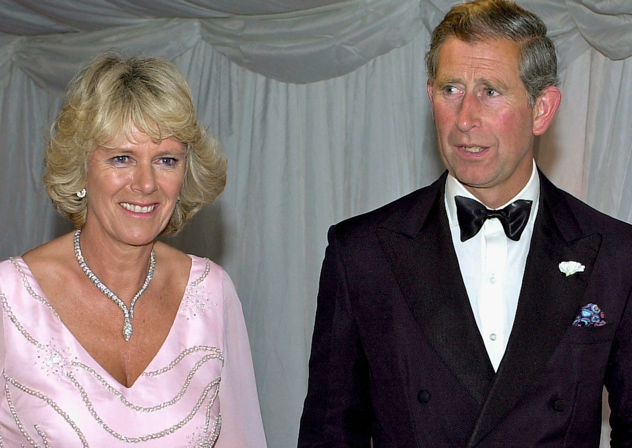 Camilla'S Scandal: The Full Story Revealed - d0358f4