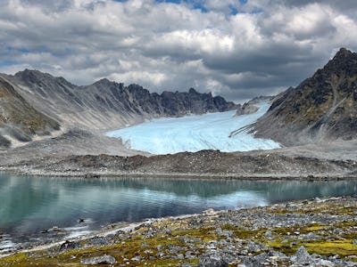 colorful lichen covering the tundra along a fjord in Svalbard.