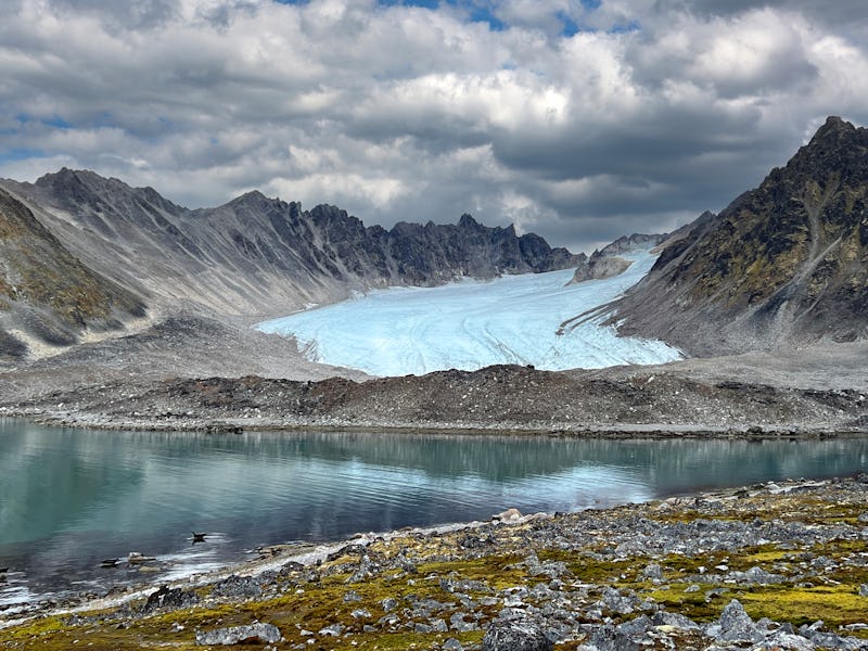 colorful lichen covering the tundra along a fjord in Svalbard.