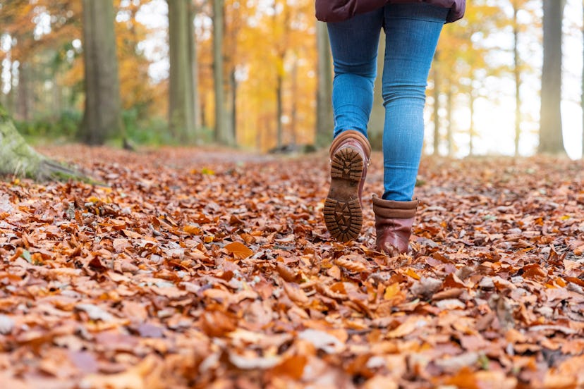 women on a walk in the woods, in an article about how to deal with feeling touched out