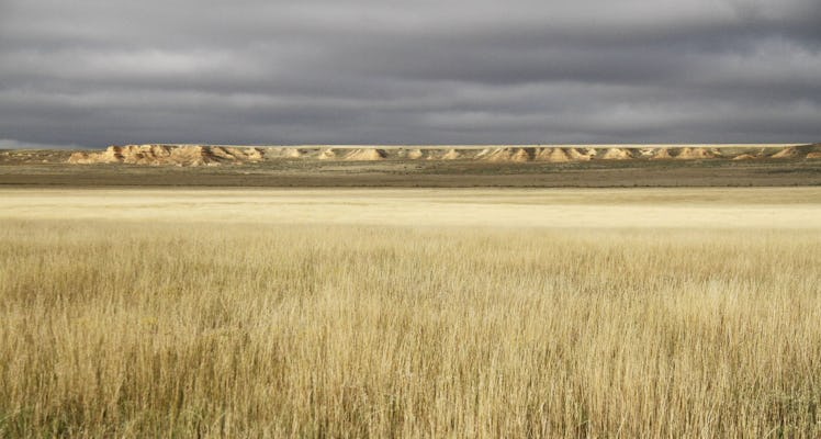 Kansas's best pronghorn county is short grass prairie that stretches for miles. (Michael Pearce/Wich...