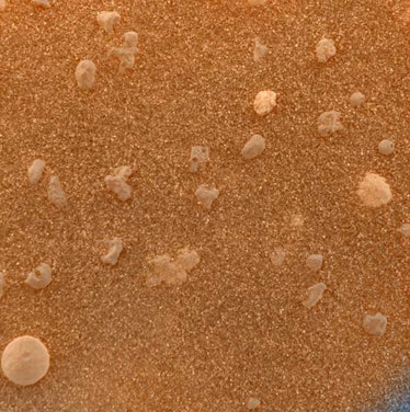 IN SPACE - FEBRUARY 4:  This magnified image of the martian soil was captured February 4, 2004  by t...