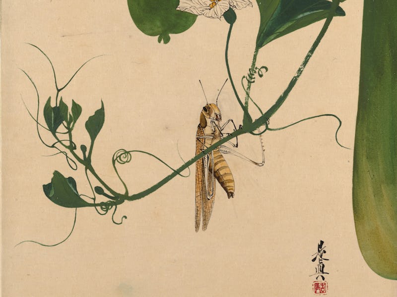 Lacquer Paintings of Various Subjects: Grasshopper on Gourd Vine, 1882. Artist Shibata Zeshin. (Phot...