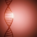 DNA (deoxyribonucleic acid) molecule, illustration