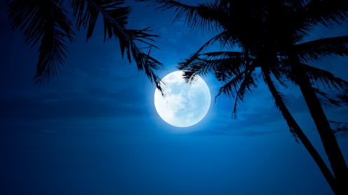 Three manifestation rituals to try during the May new moon