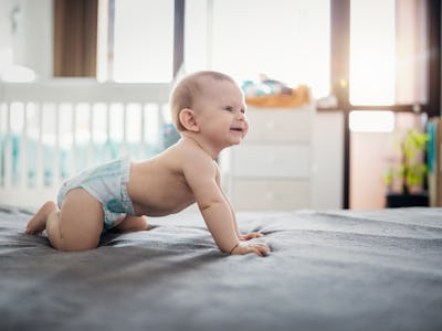 Portrait of cute crawling baby boy.