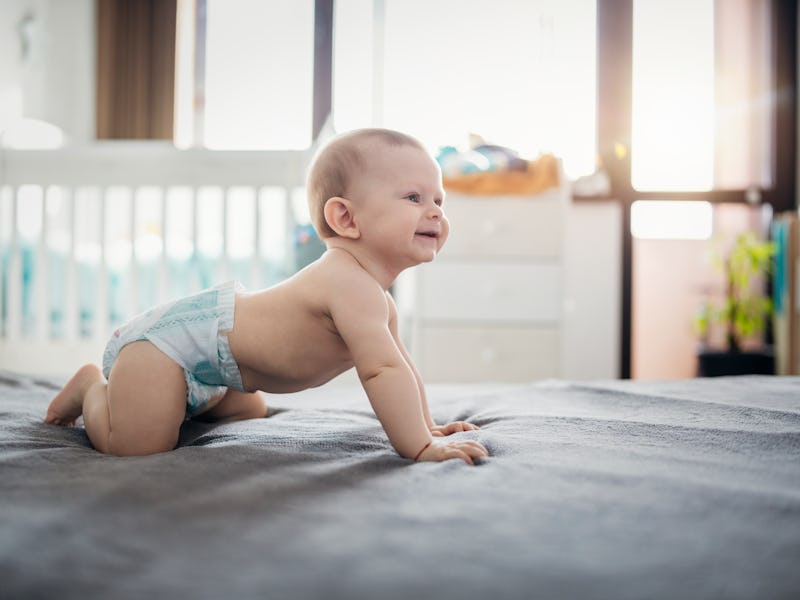 Portrait of cute crawling baby boy.