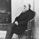 Charles Darwin 1875, photographed by H.P. Robinson.