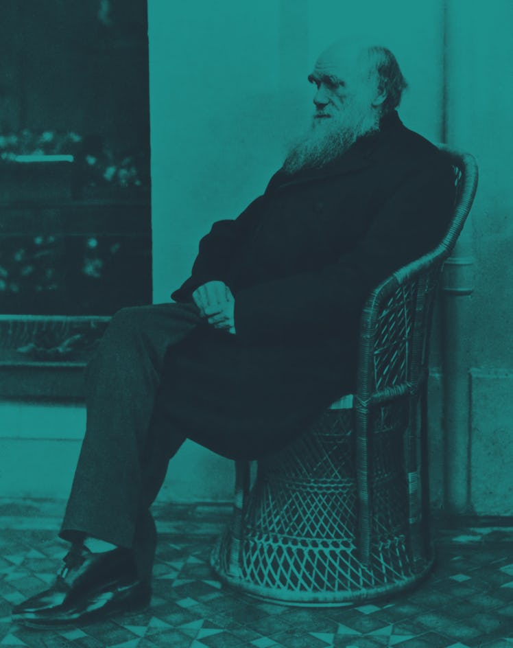 Charles Darwin 1875, photographed by H.P. Robinson.