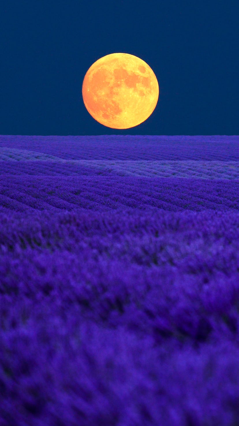 Check out these May 2023 full moon dos and don'ts from an astrologer.