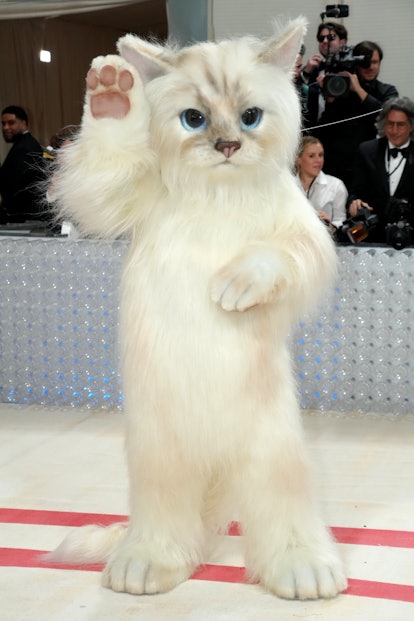 Jared Leto, dressed as Choupette, at the 2023 Met Gala. 