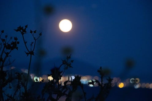 The May Full Flower Moon hits three zodiac signs the most.