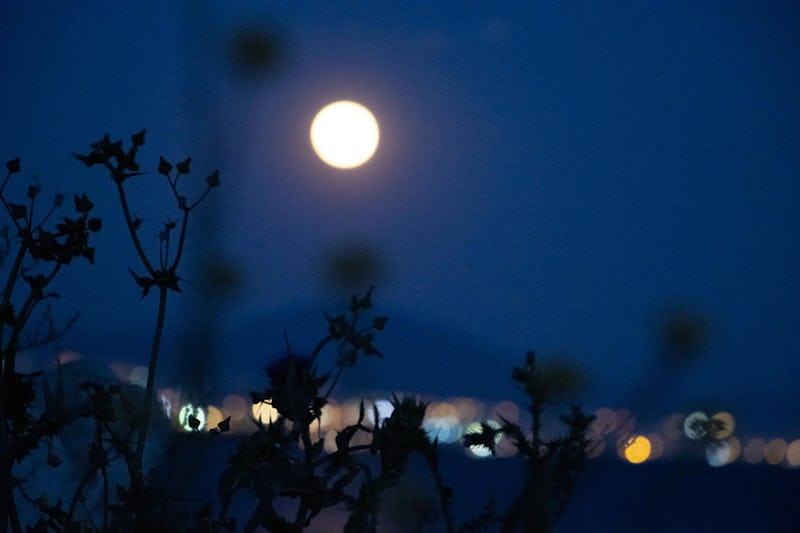 The May Full Flower Moon hits three zodiac signs the most.