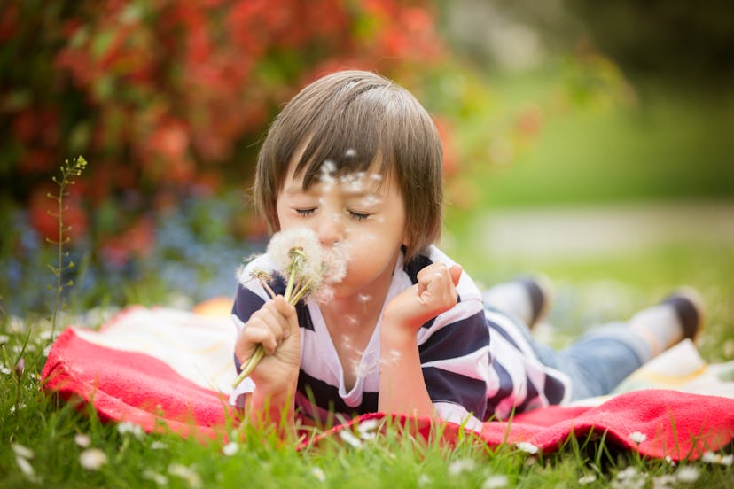little boy, blowing dandelion outdoors in spring park, he has seasonal allergies
