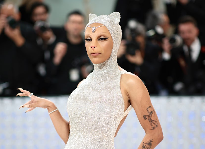 Doja Cat attended The 2023 Met Gala as Karl Lagerfeld's cat Choupette. 