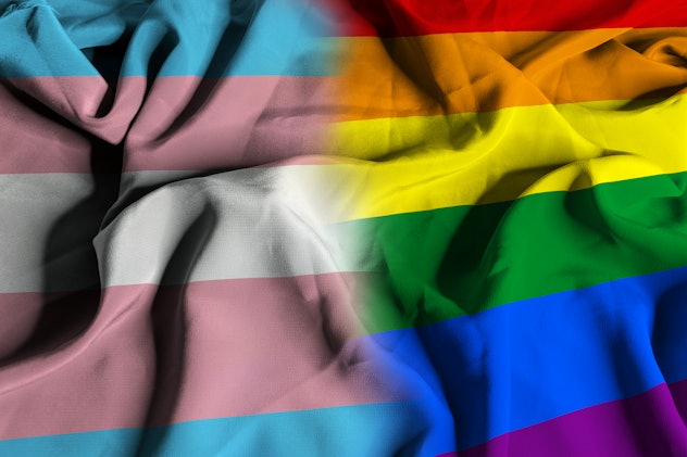 Flags of the Transgender Pride Movement and of the Lesbian, Gay, Bisexual, Transgender and Queer Pri...