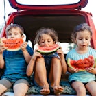 Group of children sitting in a car and eating slices of watermelon as a snack on their camping vacat...
