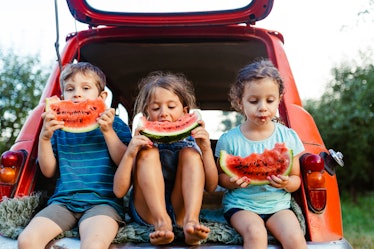 Group of children sitting in a car and eating slices of watermelon as a snack on their camping vacat...
