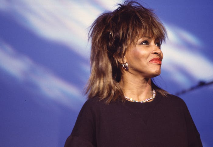 Portrait of American R&B, Rock, and Pop singer Tina Turner during an interview on MTV at Teletronic ...