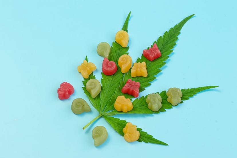 THC edibles are the appetizer that match each zodiac sign's vibe, according to an astrologer.