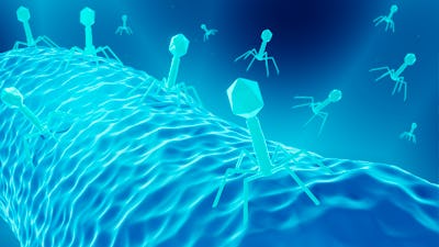 Illustration of bacteriophages, viruses that can be used to treat bacterial infections.