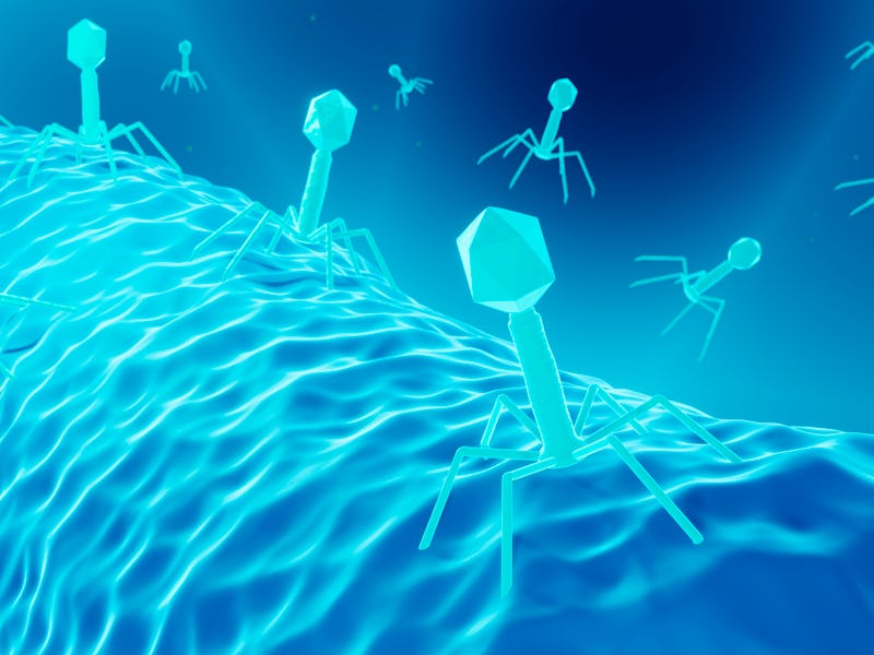 Illustration of bacteriophages, viruses that can be used to treat bacterial infections.