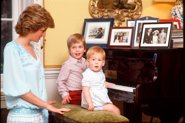 Princess Diana watches over her two boys in 1985.