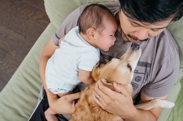 Goth baby names like Wolf would fit a newborn like this, cuddled up on Dad's chest while the family ...
