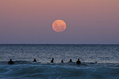 The Spiritual Meaning Of The May Full Flower Moon