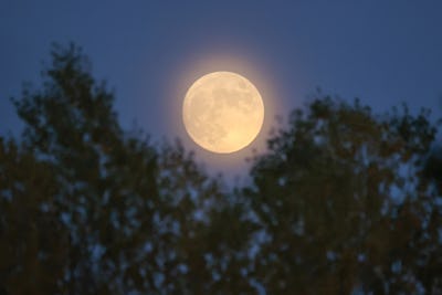 VAN, TURKIYE - NOVEMBER 07: The halo ring appears around the Moon during night in Van, Turkiye on No...
