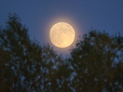 VAN, TURKIYE - NOVEMBER 07: The halo ring appears around the Moon during night in Van, Turkiye on No...