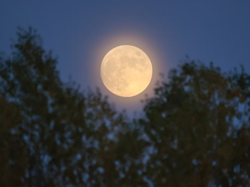 VAN, TURKIYE - NOVEMBER 07: The halo ring appears around the Moon during night in Van, Turkiye on No...