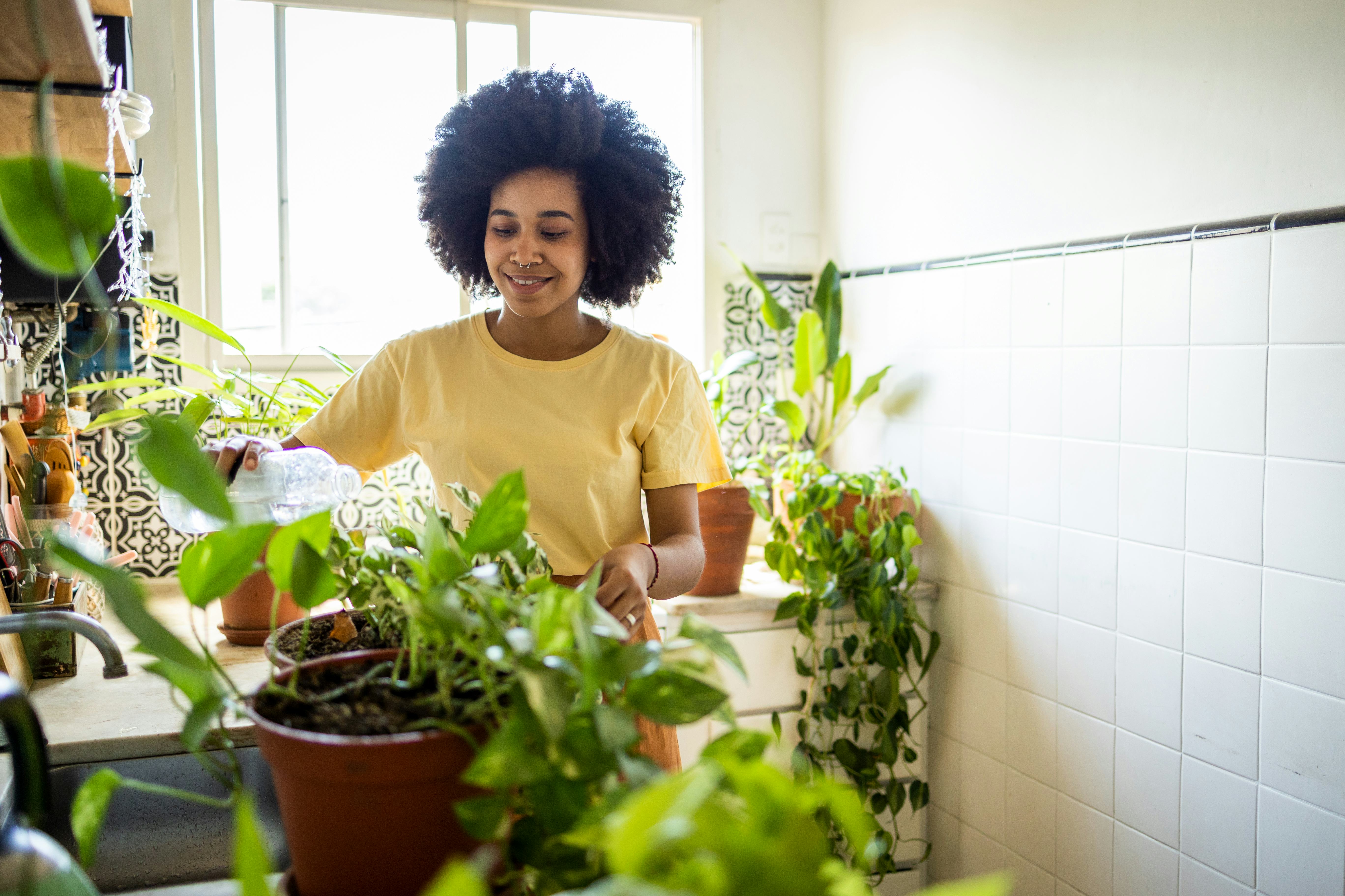 Water your plants with your manifestation dream jar.