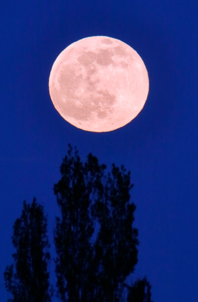 France. Seine et Marne. The super pink Moon of april 16th 2022 taken at the exact moment of the full...